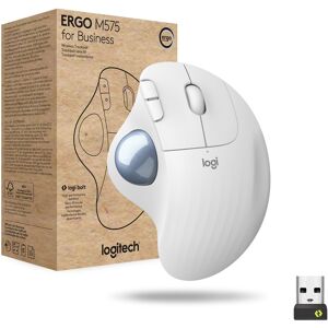 Logitech ERGO M575 for Business souris Droitier RF sans fil + Bluetooth Trackball 2000 DPI