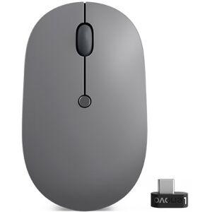 IBM Go souris Ambidextre RF sans fil Optique 2400 DPI Bleu