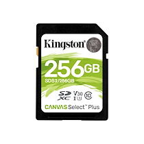 Kingston Canvas Select Plus - carte mémoire flash - 256 Go - SDXC UHS-I