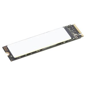 IBM 4XB1M86955 disque SSD M.2 1 To PCI Express 4.0 NVMe