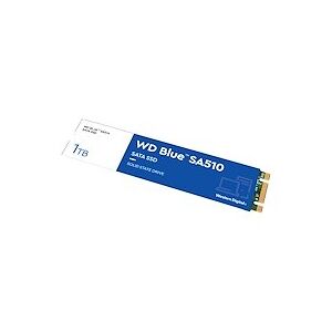 WD Blue SA510 WDS100T3B0B - SSD - 1 To -