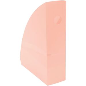 Exacompta Ranges-revues Exacompta Mag-Cube dos de 8,2 cm corail Gris