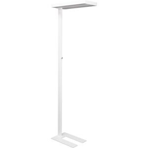 Maul Lampadaire MAULjuvis capteur mouvement/lumière du jour direct 50% et indirect 50%, 4000K, blanc