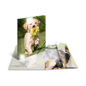 Herma Chemise à élastiques 'chiens', PP Glossy, A3 - Lot de 4