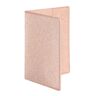 Agendas exacompta Etui passeport Eden 9,5 x 13,5 cm - Rose - Lot de 5