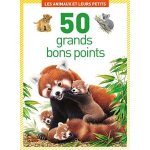 Lito diffusion Boîte de 50 grandes image thème les animaux et leurs petits - Lot de 3