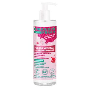 Energie Fruit Après-shampooing Gloss Protection Couleur Vinaigre de Framboise Energie Fruit - Publicité