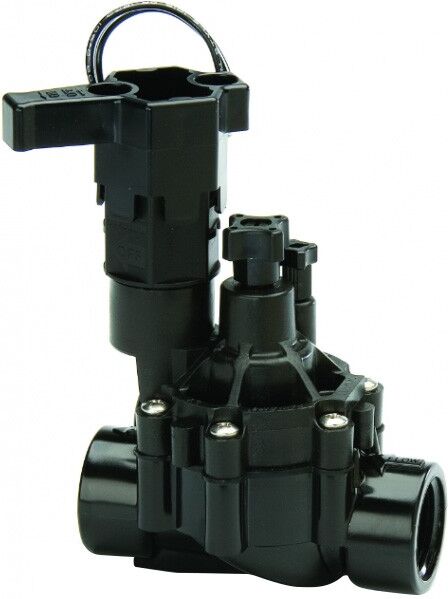Rainbird Électrovanne - Électrovanne DV 24V - 1 Rainbird Électrovanne - Électrovanne DV 24V - 1