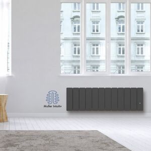 Radiateur Fonte Noirot Beladoo 1500w Plinthe Gris Anthracite Connecte Nen1715sehs