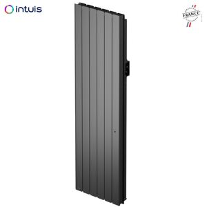 Radiateur Fonte Noirot Beladoo Nativ 2000w Vertical Gris Anthracite Connecte Intuis M153227