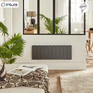 Radiateur Fonte Noirot Beladoo Nativ 750w Bas Anthracite Connecte Intuis M153322