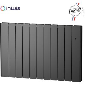 Radiateur Fonte Noirot Beladoo Nativ 2000w Anthracite Connecte Intuis M153127