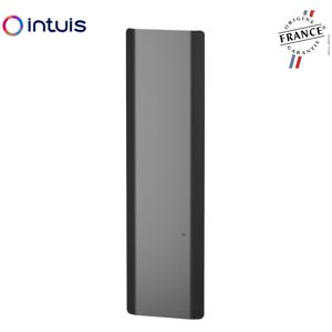 Radiateur Fonte Noirot Calidoo Nativ Vertical 1500w Anthracite Connecte Intuis M152225