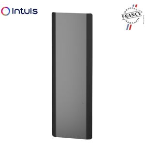 Radiateur Fonte Noirot Calidoo Nativ Vertical 2000w Anthracite Connecte Intuis M152227