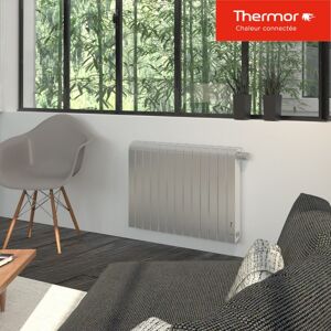 Radiateur Électrique Thermor Mythik Horizontal 1000w Alu Satine - 460131