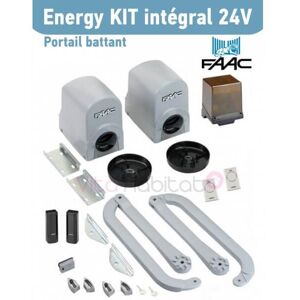 Energy Kit Integral 24v Faac (391) Motorisation Portail 2 Battants - 104575144