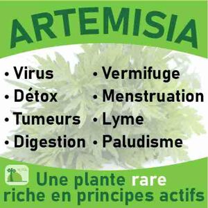 Gélules Artemisia annua - Publicité