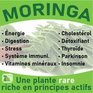 Gélules feuilles de Moringa - Publicité