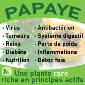 Gélules de feuilles de Papayer - Publicité