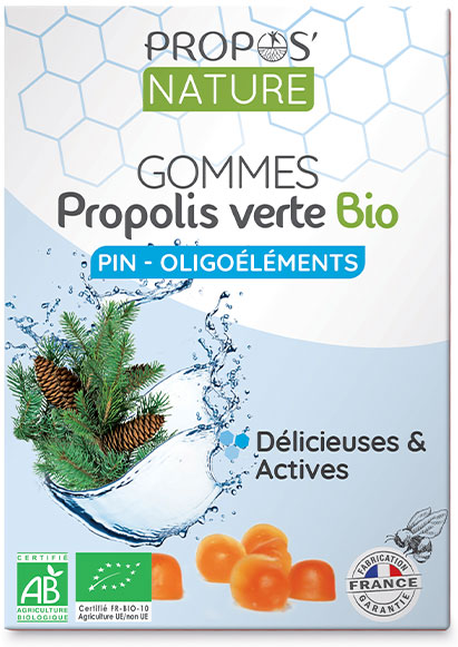 Propos'Nature Propos' Nature Apithérapie Gomme de Propolis Oligoéléments Pin Bio 45g