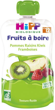 Hipp Bio Fruits à Boire Gourde Pommes Raisins Kiwis Framboises +12m 120ml