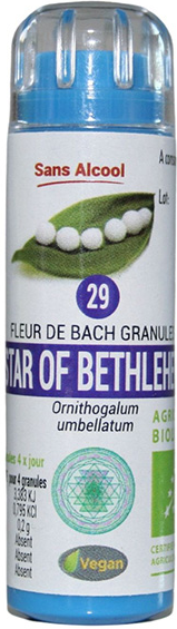 Kosmeo B Kosmeo Fleur de Bach 0% Alcool n°29 Star of Bethlehem Bio 120 granules