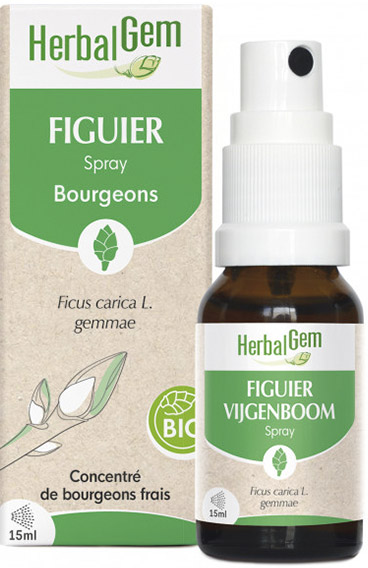 Herbalgem FIGUIER SPRAY BIO 15ML