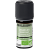 Florame Revel'Essence Huile Essentielle Cannelier Bio 5ml