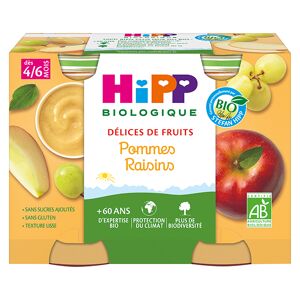 Hipp Bio Délices de Fruits Pot Pommes Raisins +4m 2