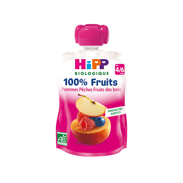 Hipp Bio 100% Fruits Gourde Pommes Pêches Fruits des Bois +4m 90g