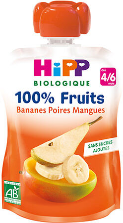 Hipp Bio 100% Fruits Gourde Bananes Poires Mangues +4m 90g