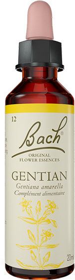 Fleurs de Bach® Original - Gentian 20ml