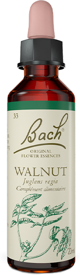 Fleurs de Bach® Original - Walnut 20ml