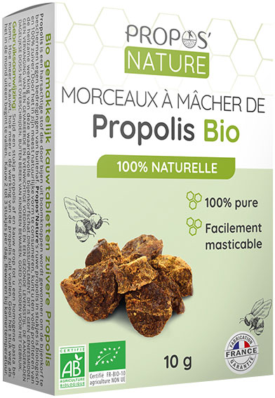 Propos'Nature Propos' Nature Apithérapie Propolis Pure à Mâcher Bio 10g