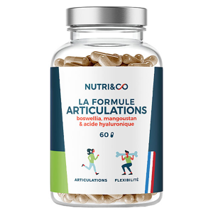 Nutri & Co Nutri&Co; Articulation & Flexibilite Formule Articulations Vegan 60 gelules