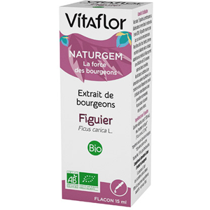 Vitaflor Extrait de Bourgeons Bio Figuier 15ml