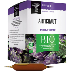 Dayang Artichaut Bio 20 ampoules