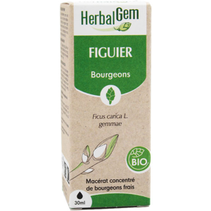 Herbalgem Macerat Concentre Figuier Bio 30ml