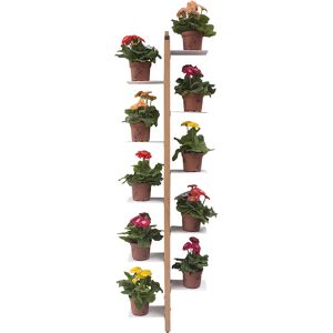 LE ZIE DI MILANO porte-plantes sur pied fixe au mur ZIA FLORA (H 156 cm / Naturel - Hetre massif et acier)