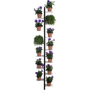 LE ZIE DI MILANO porte-plantes sur pied fixe au mur ZIA FLORA (H 202 cm / Noir - Hetre massif et acier)