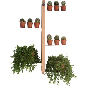 LE ZIE DI MILANO porte-plantes fixe au mur ZIA FLORA (H 66 cm / Naturel - Hetre massif et acier)