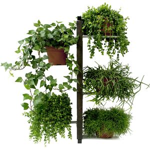 LE ZIE DI MILANO porte-plantes fixe au mur ZIA FLORA (H 66 cm / Noir - Hetre massif et acier)