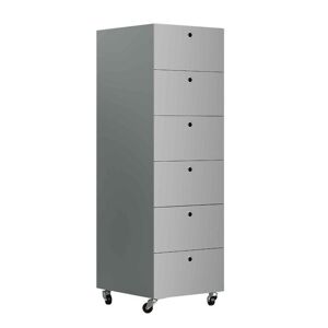 KRIPTONITE meuble a tiroirs sur roulettes 6 tiroirs L 40 cm (aluminium anodise - Aluminium et bois)