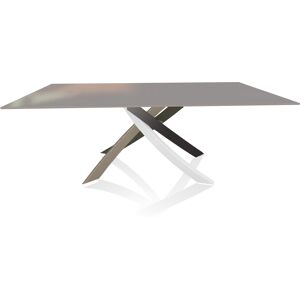 BONTEMPI CASA table avec structure multicolor elegant ARTISTICO 20.01 200x106 cm (Laque gris clair brillant - Plateau en verre et structure en [...]