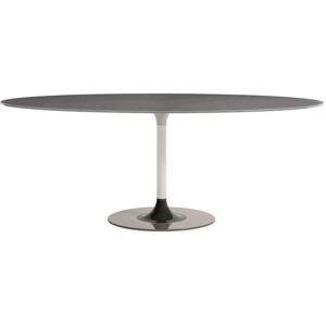 KARTELL table ovale THIERRY XXL (Gris - Verre trempe peint et metal)