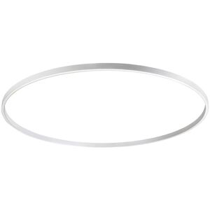 NEMO STUDIO lampe a suspension ZIRKOL CIRCLE 5 m DOWNLIGHT (blanc 4000K - Aluminium verni)