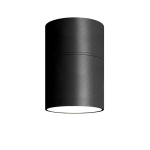 AXO LIGHT lampe au plafonde PIVOT BEAM 38° (2700K, noir - Metal verni)