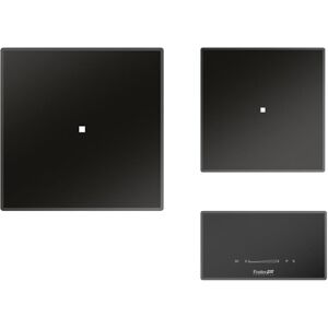 FOSTER plaque de cuisson a induction SÉRIE MODULAR QUADRA avec 2 zones carre7365 020