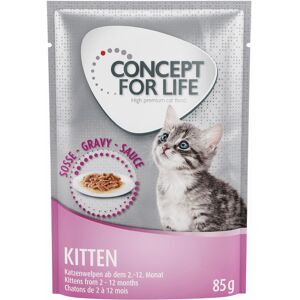 12x85g Maine Coon Kitten + sachet Kitten en sauce Concept for Life - pour chat