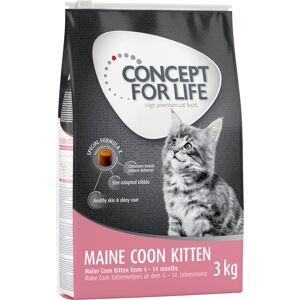 3kg Concept for Life Maine Coon Kitten - Croquettes pour chaton